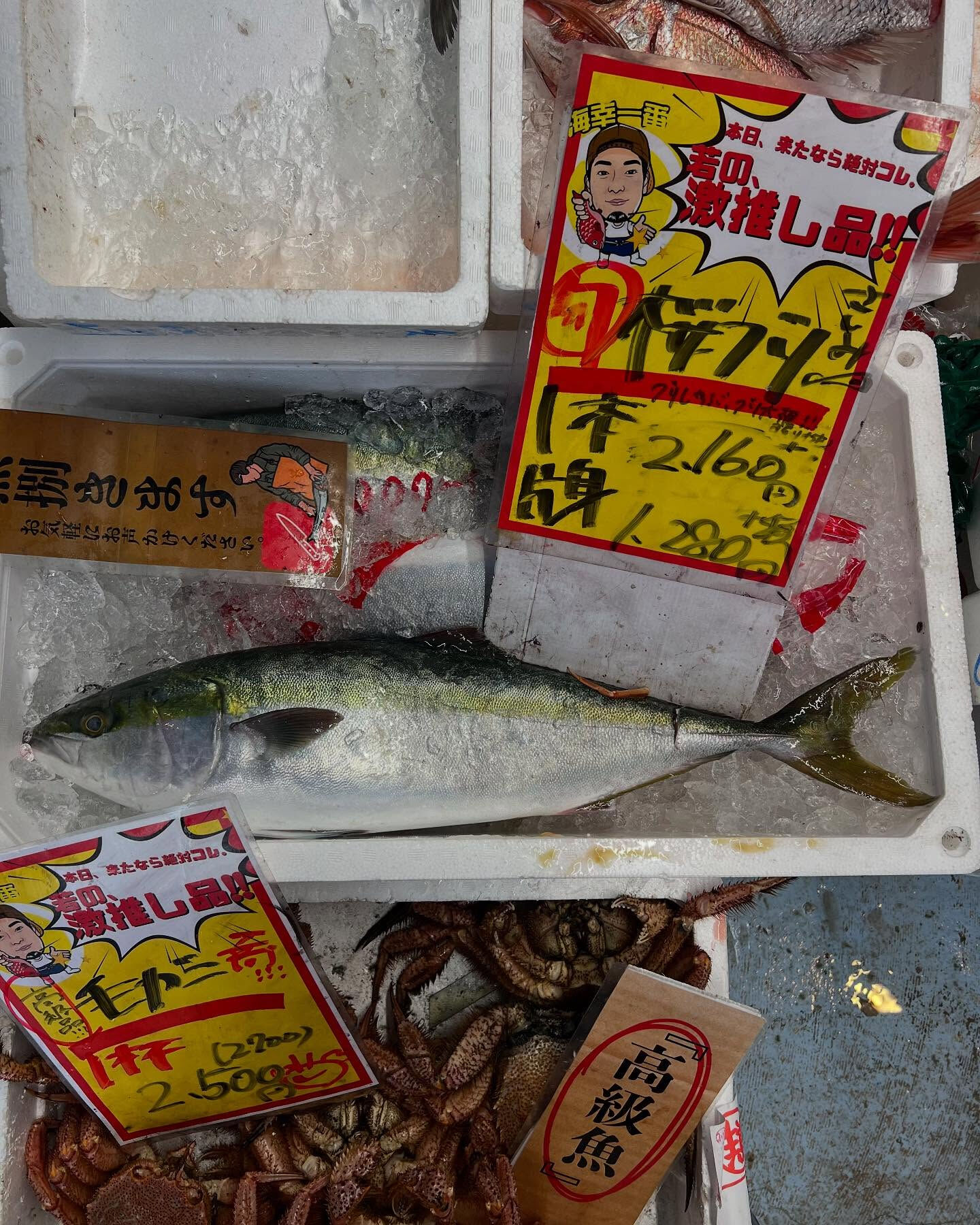 本日、金曜もstart🐟