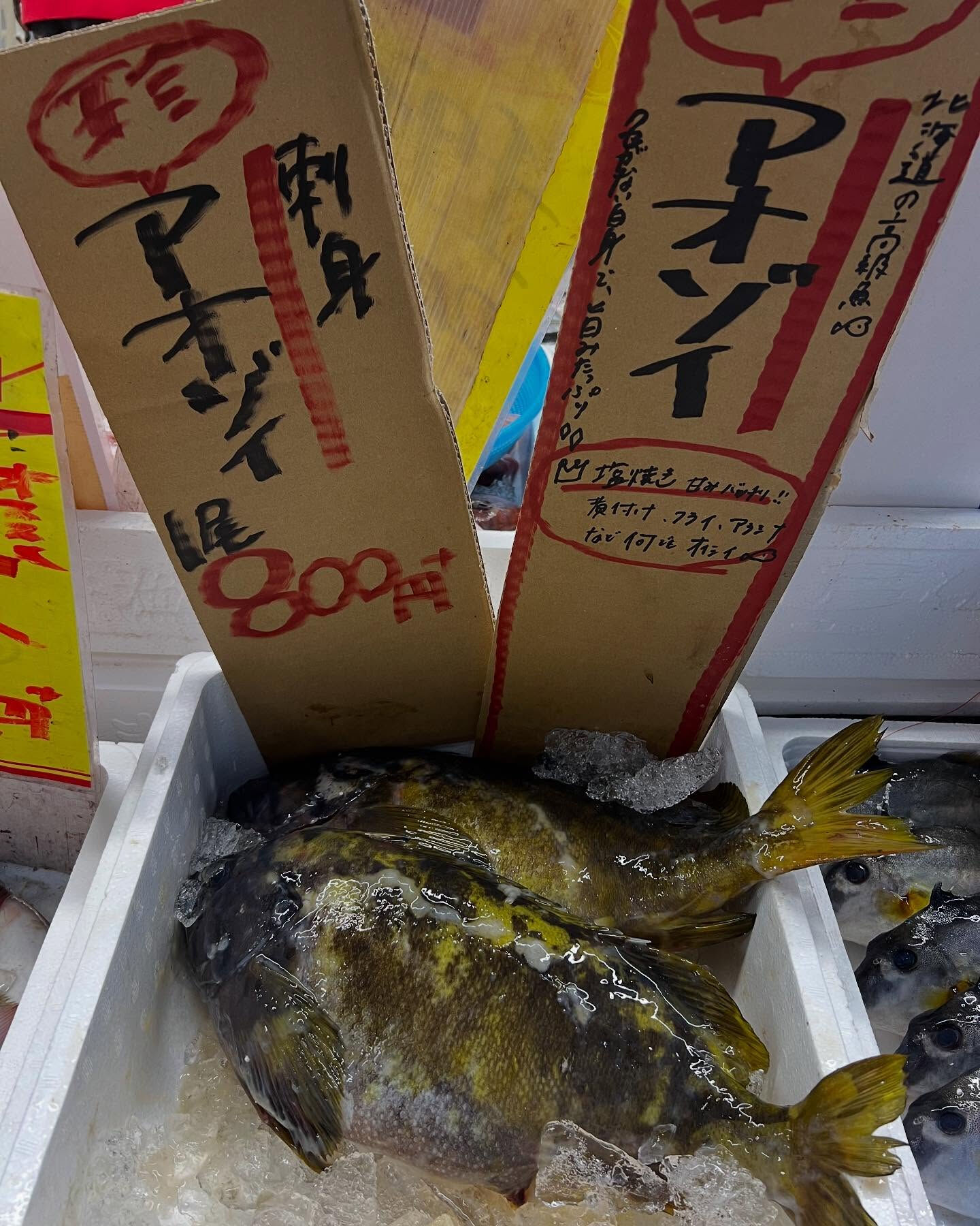 本日、金曜もstart🐟