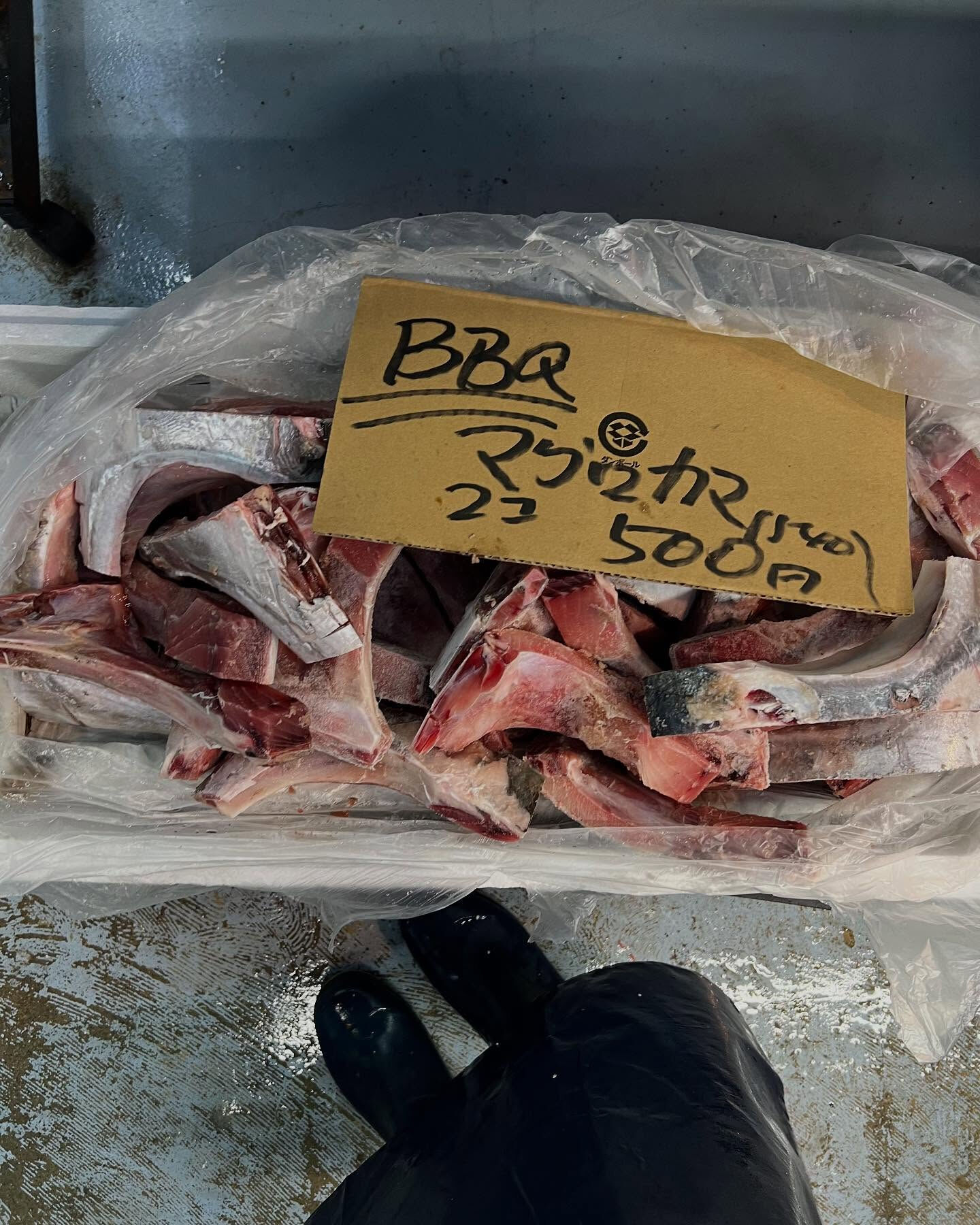 本日、金曜もstart🐟