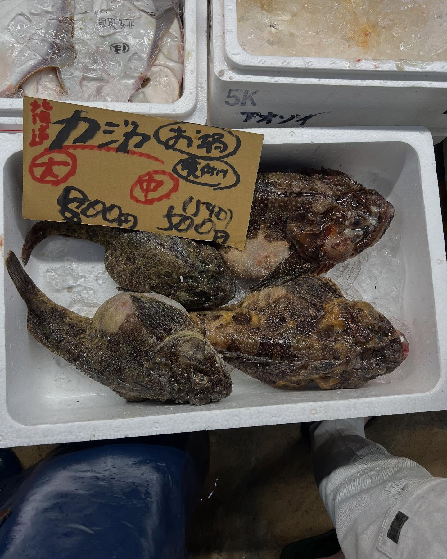 本日、金曜もstart🐟