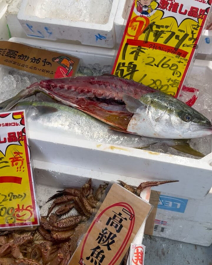 本日、金曜もstart🐟