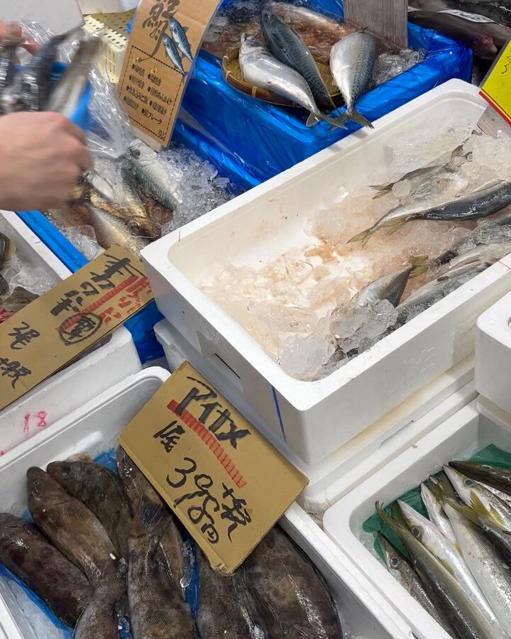 本日、金曜もstart🐟