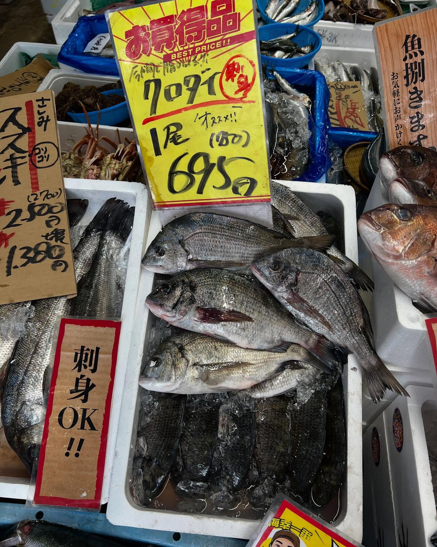 本日、日曜start🐟