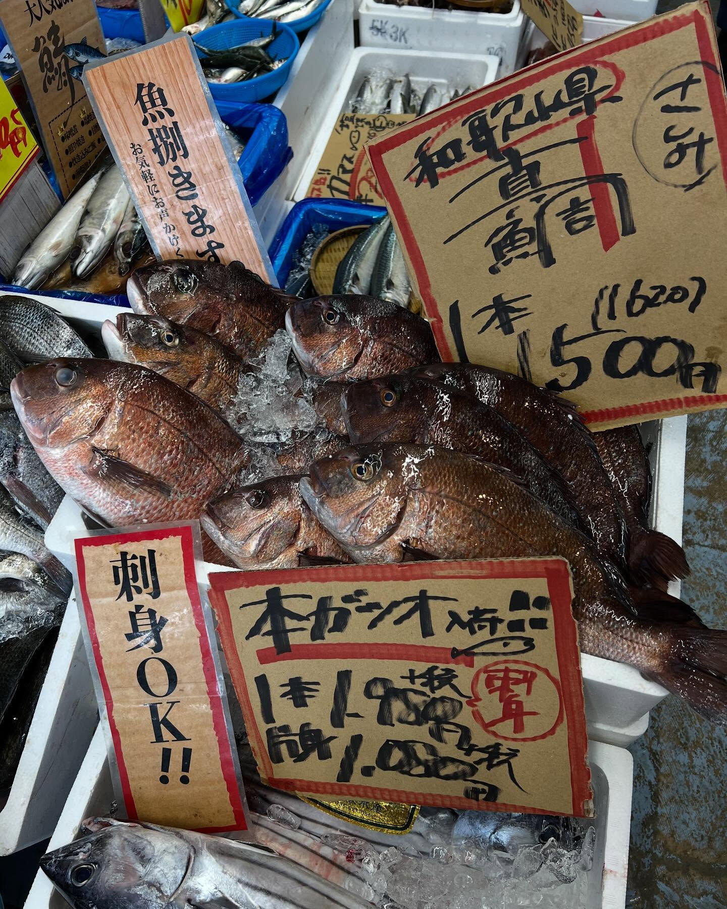 本日、日曜start🐟