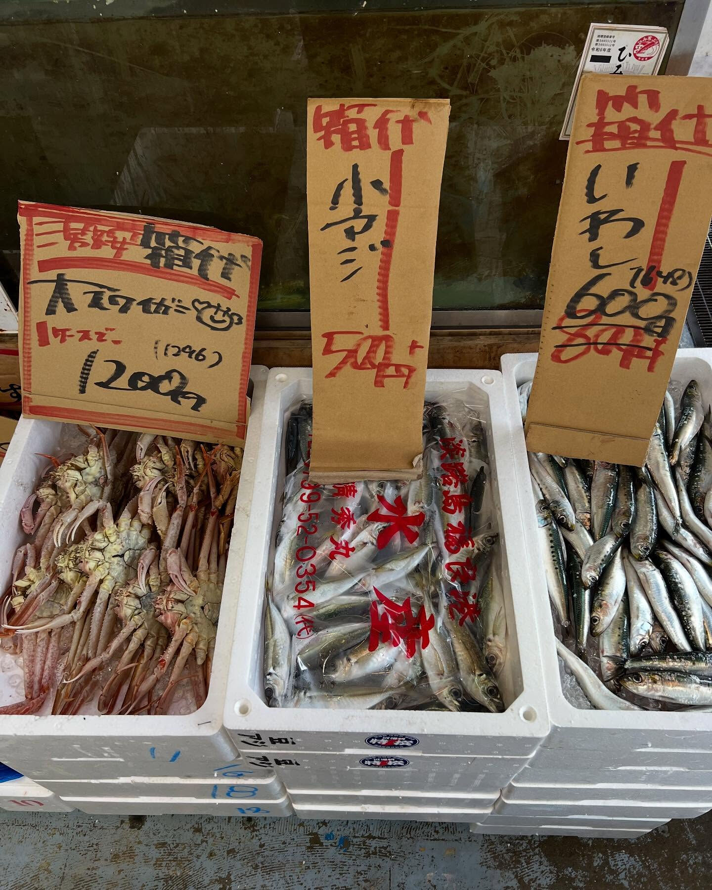 本日、日曜start🐟