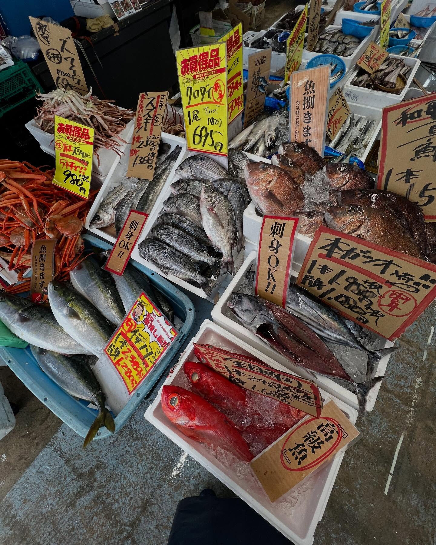 本日、日曜start🐟