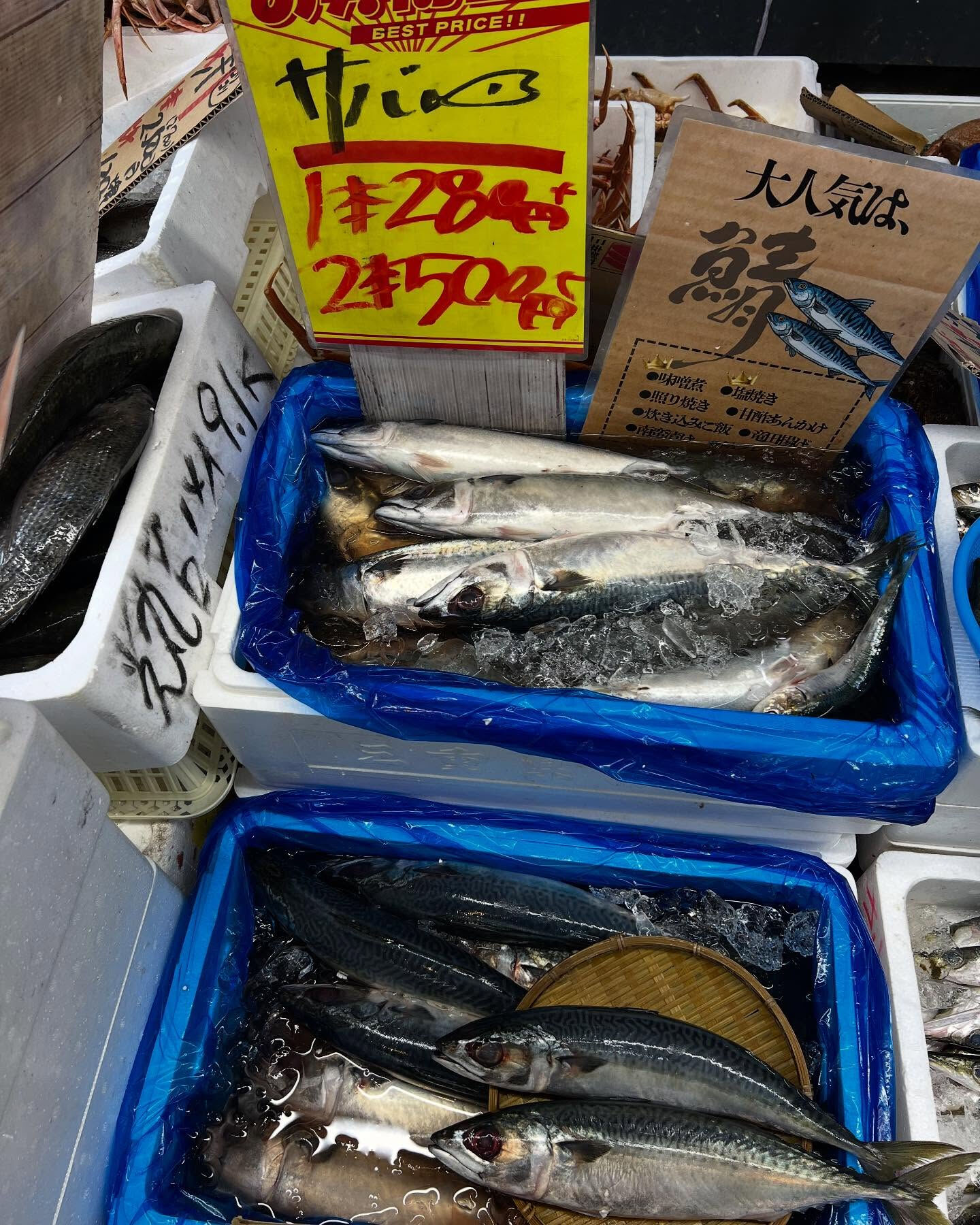 本日、日曜start🐟