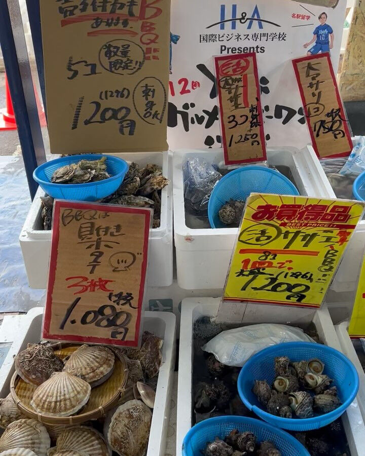 本日、日曜start🐟