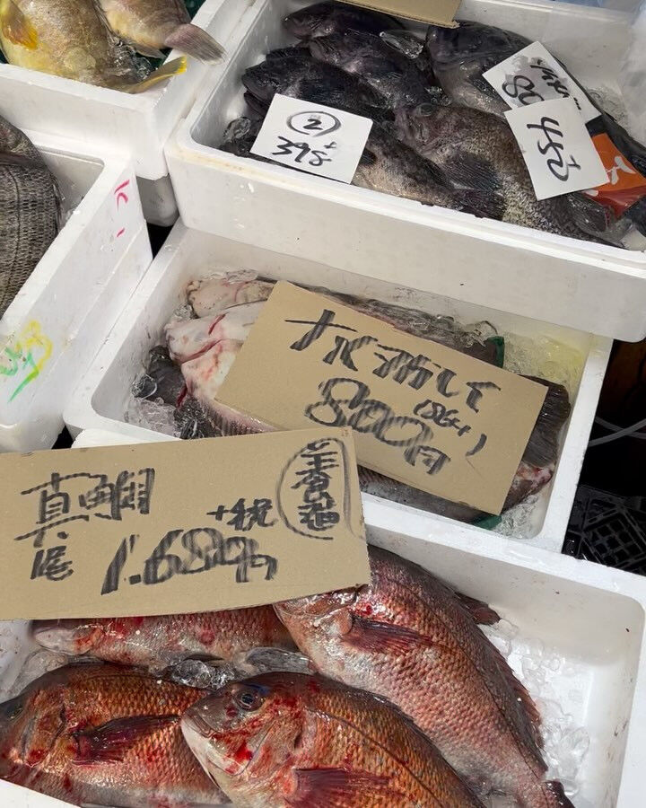 本日、日曜start🐟