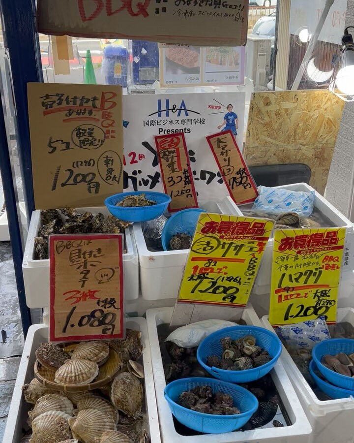本日、日曜start🐟