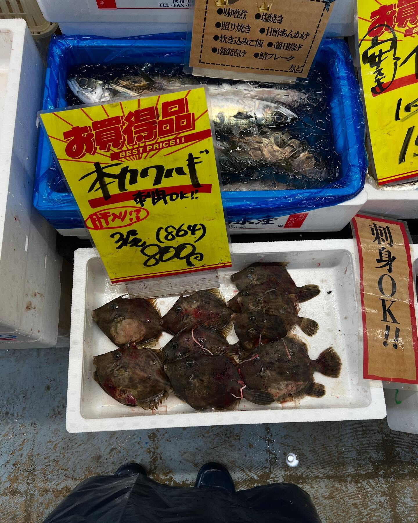 本日、金曜start🐟