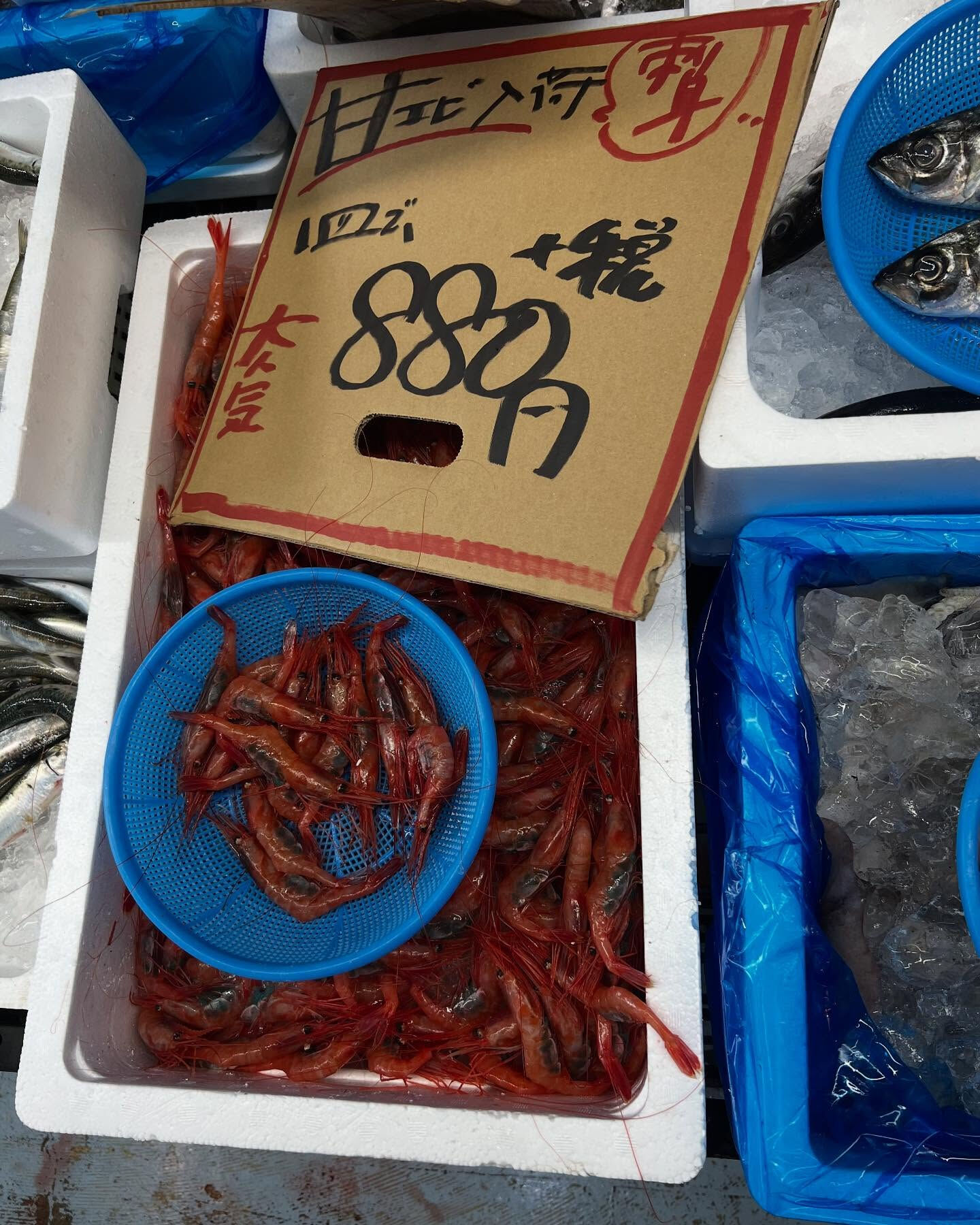 本日、金曜start🐟