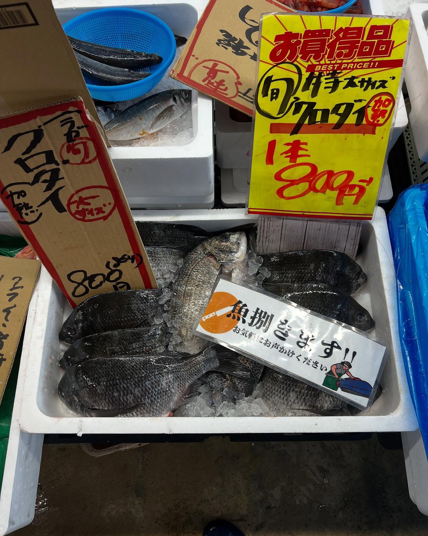 本日、金曜start🐟