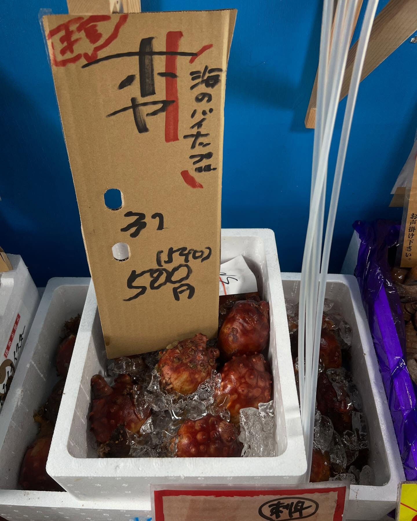 本日、金曜start🐟