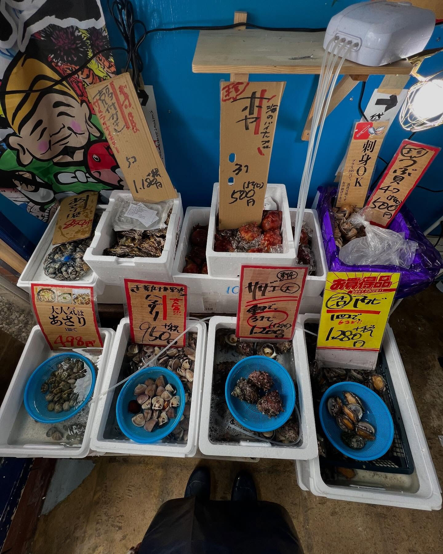 本日、金曜start🐟