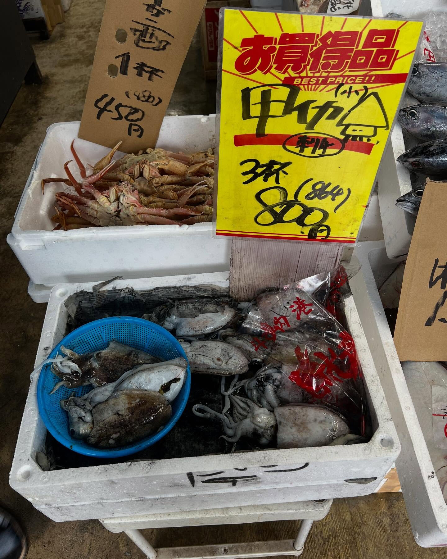 本日、金曜start🐟