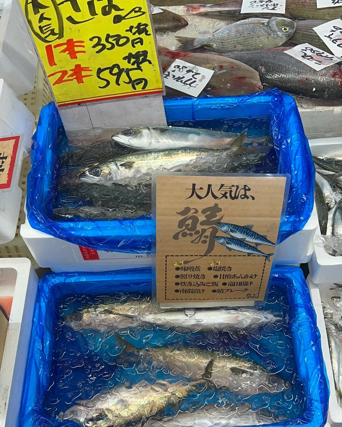 本日、金曜start🐟