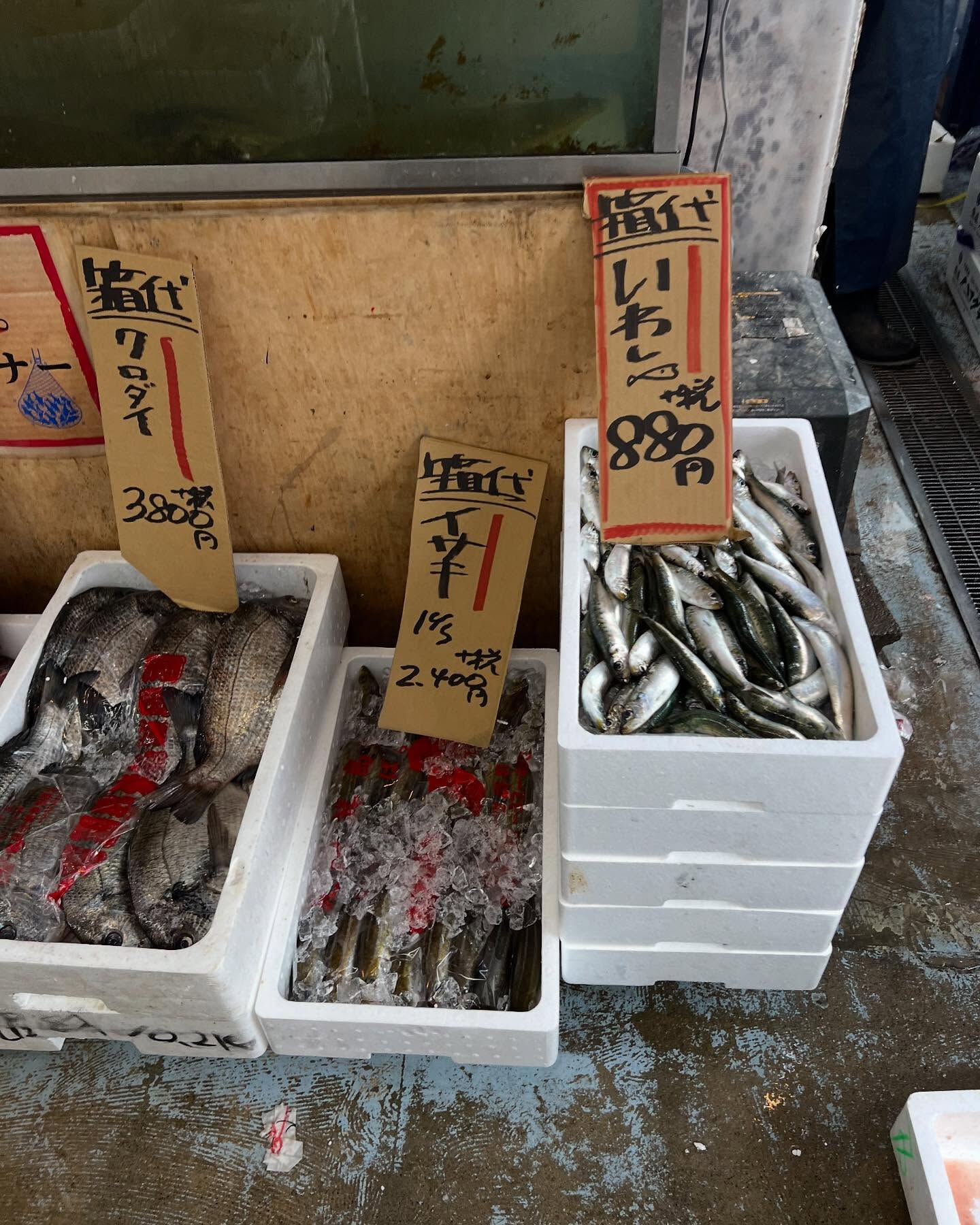 本日、金曜start🐟