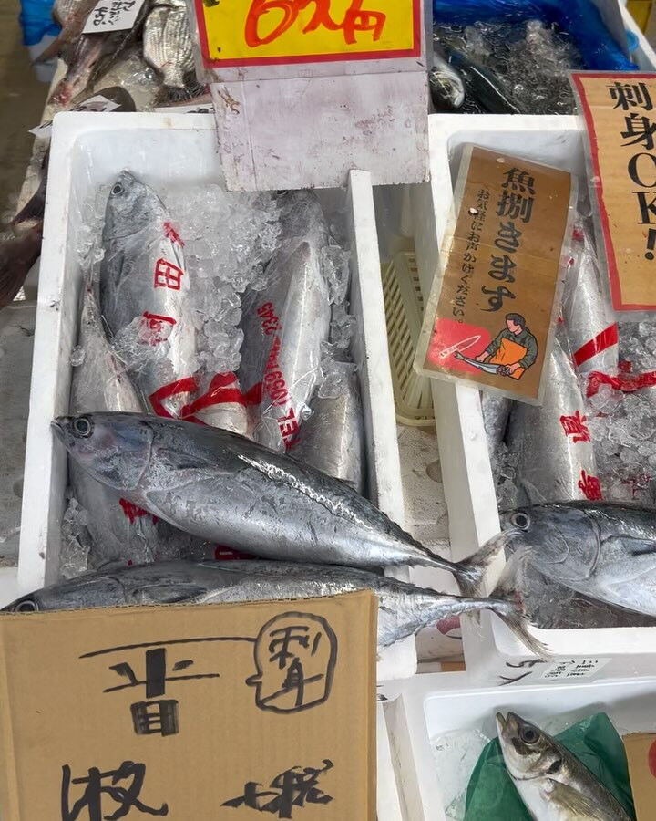 本日、金曜start🐟