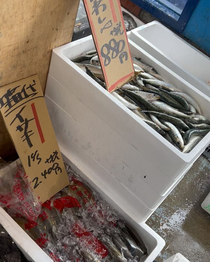 本日、金曜start🐟