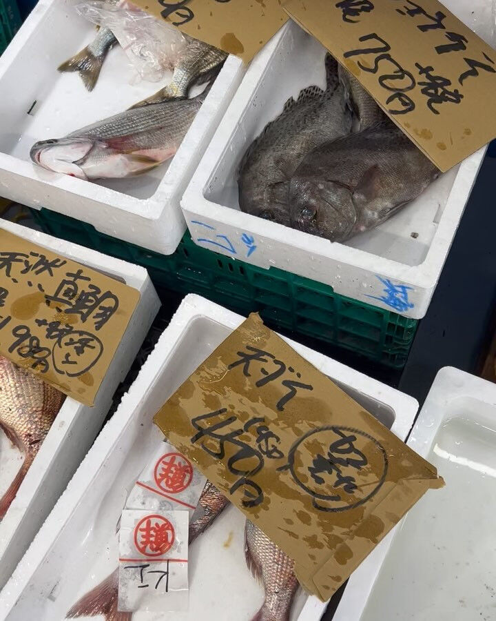 本日、金曜start🐟