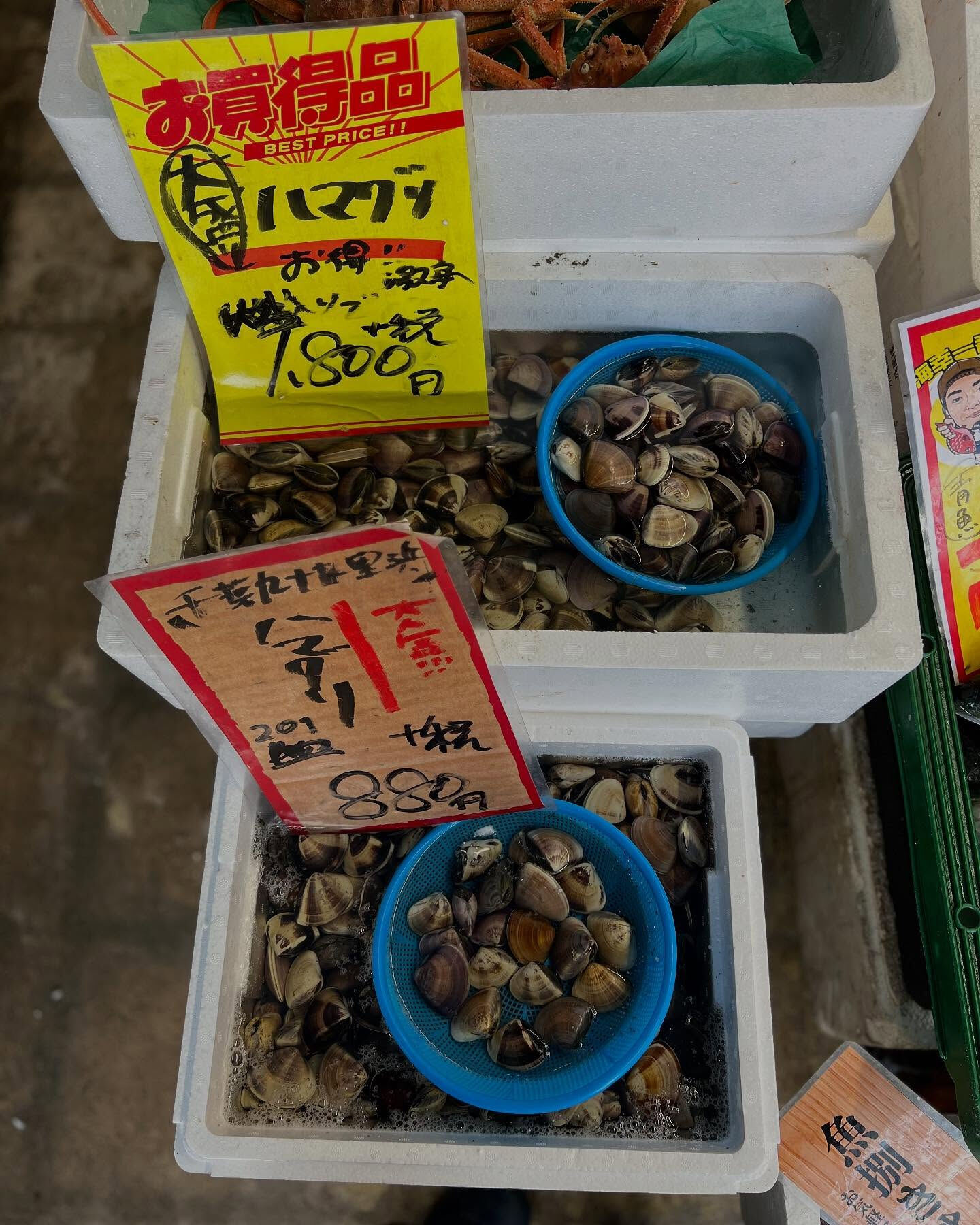 本日、日曜start🐟