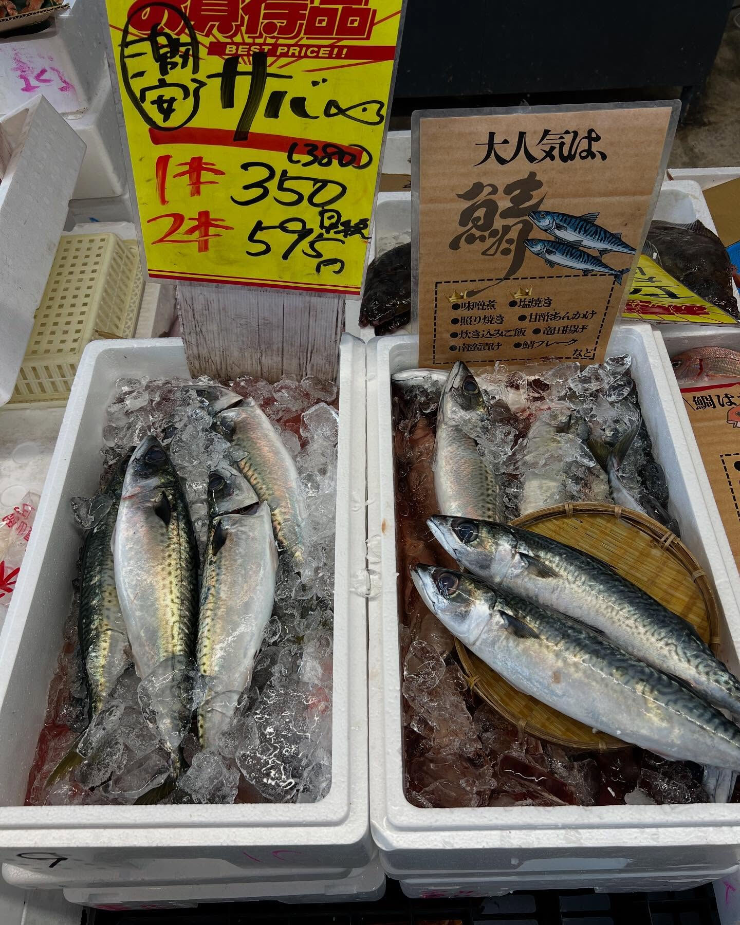 本日、日曜start🐟