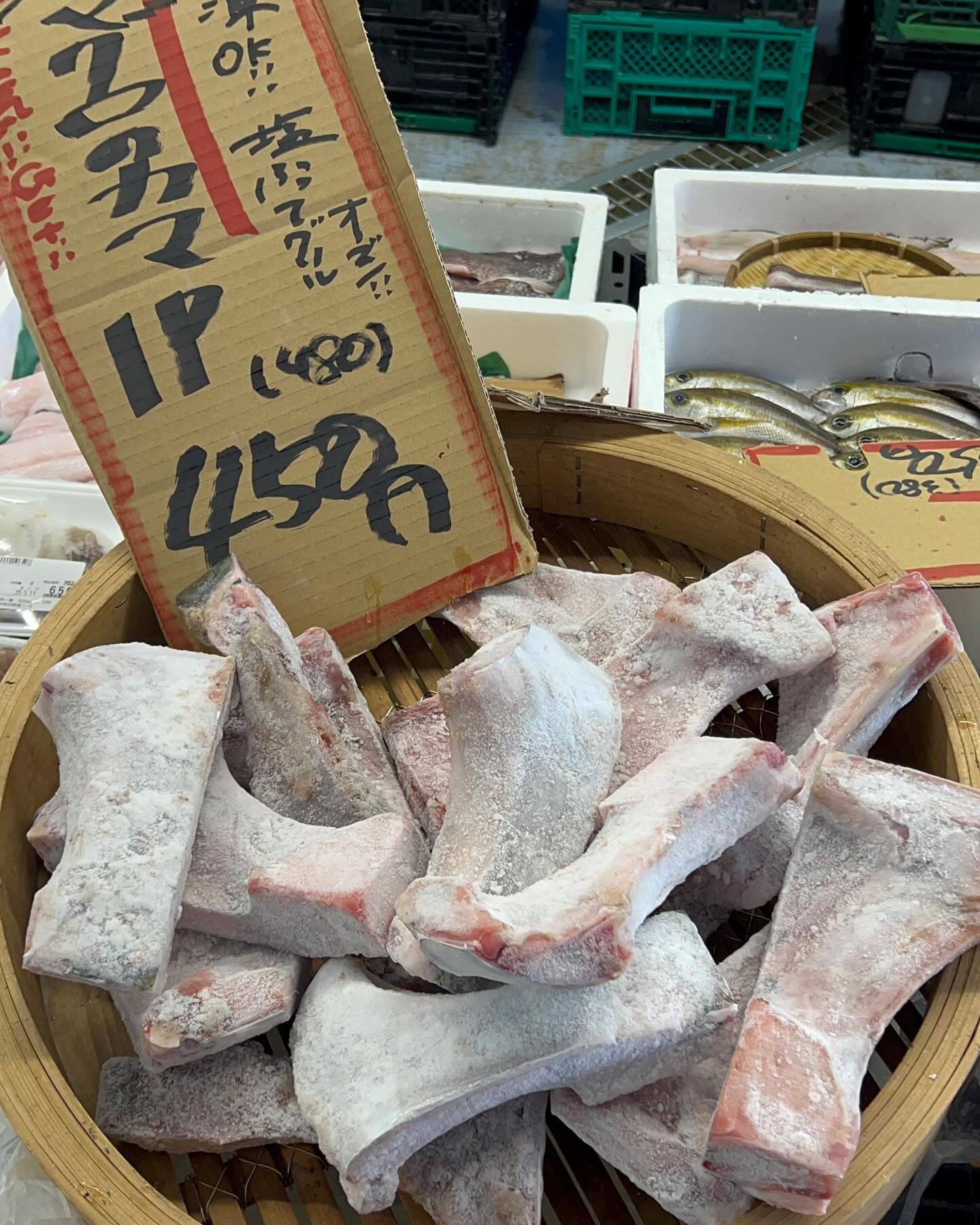 本日、日曜start🐟