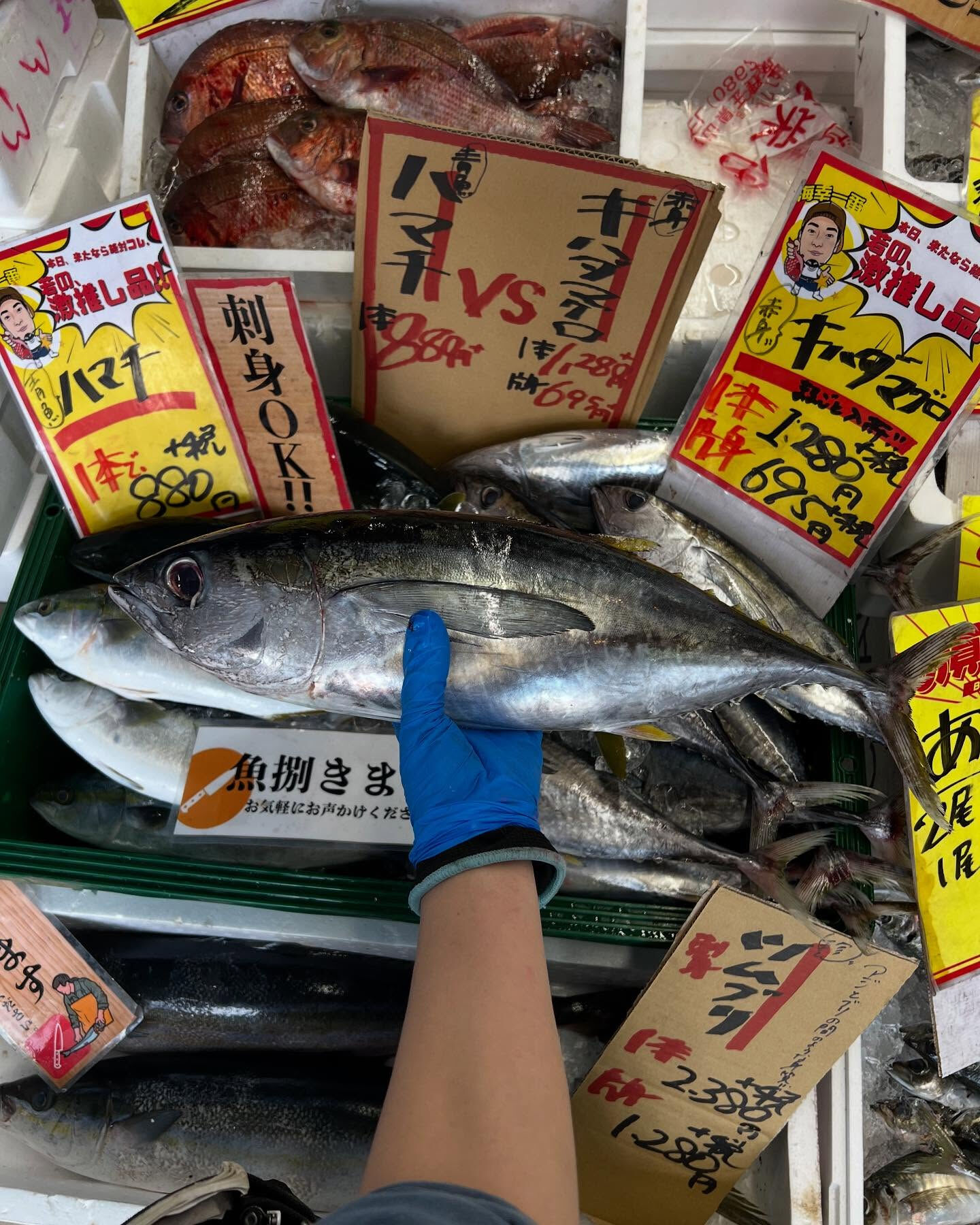 本日、日曜start🐟