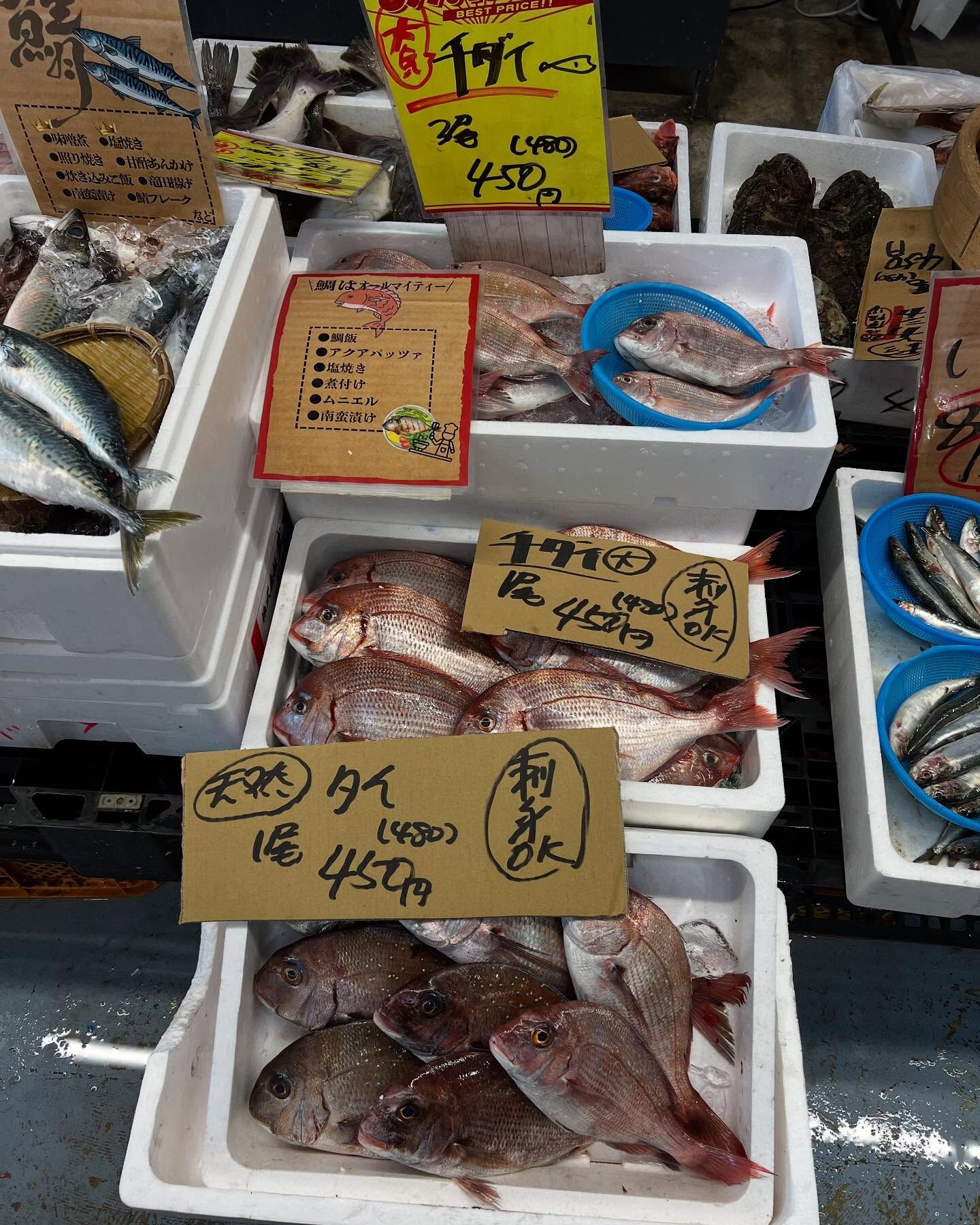 本日、日曜start🐟