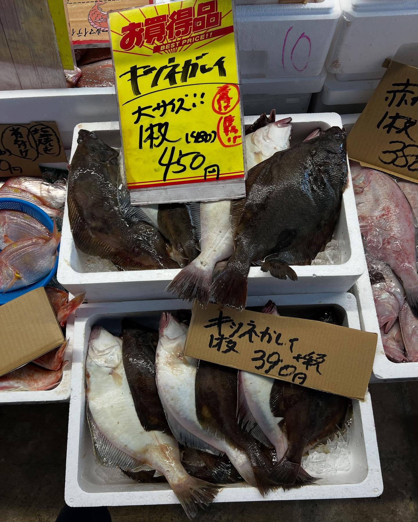 本日、日曜start🐟