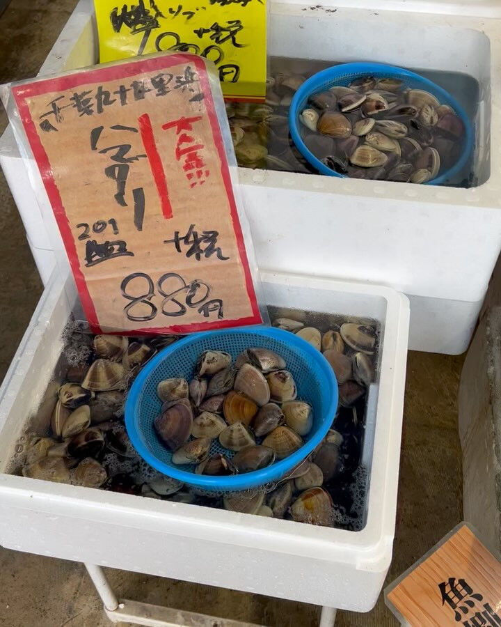 本日、日曜start🐟