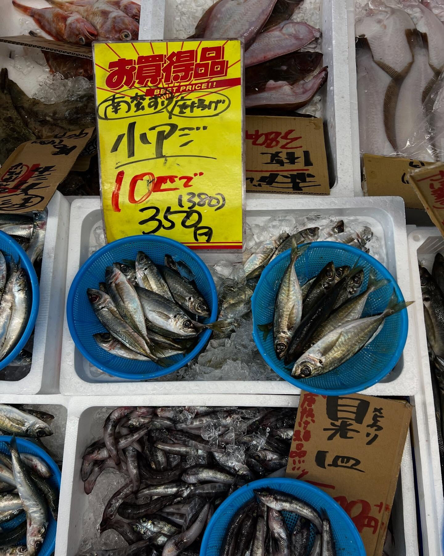 本日、月曜start🐟