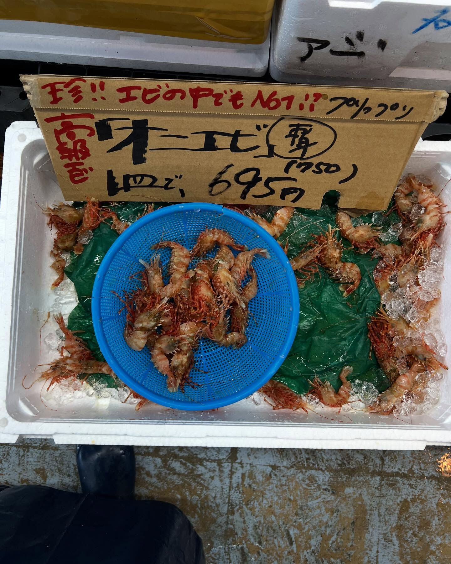 本日、月曜start🐟