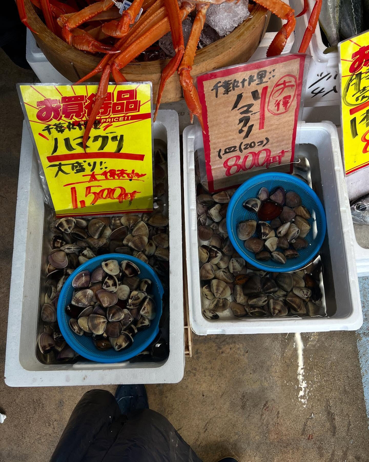 本日、月曜start🐟