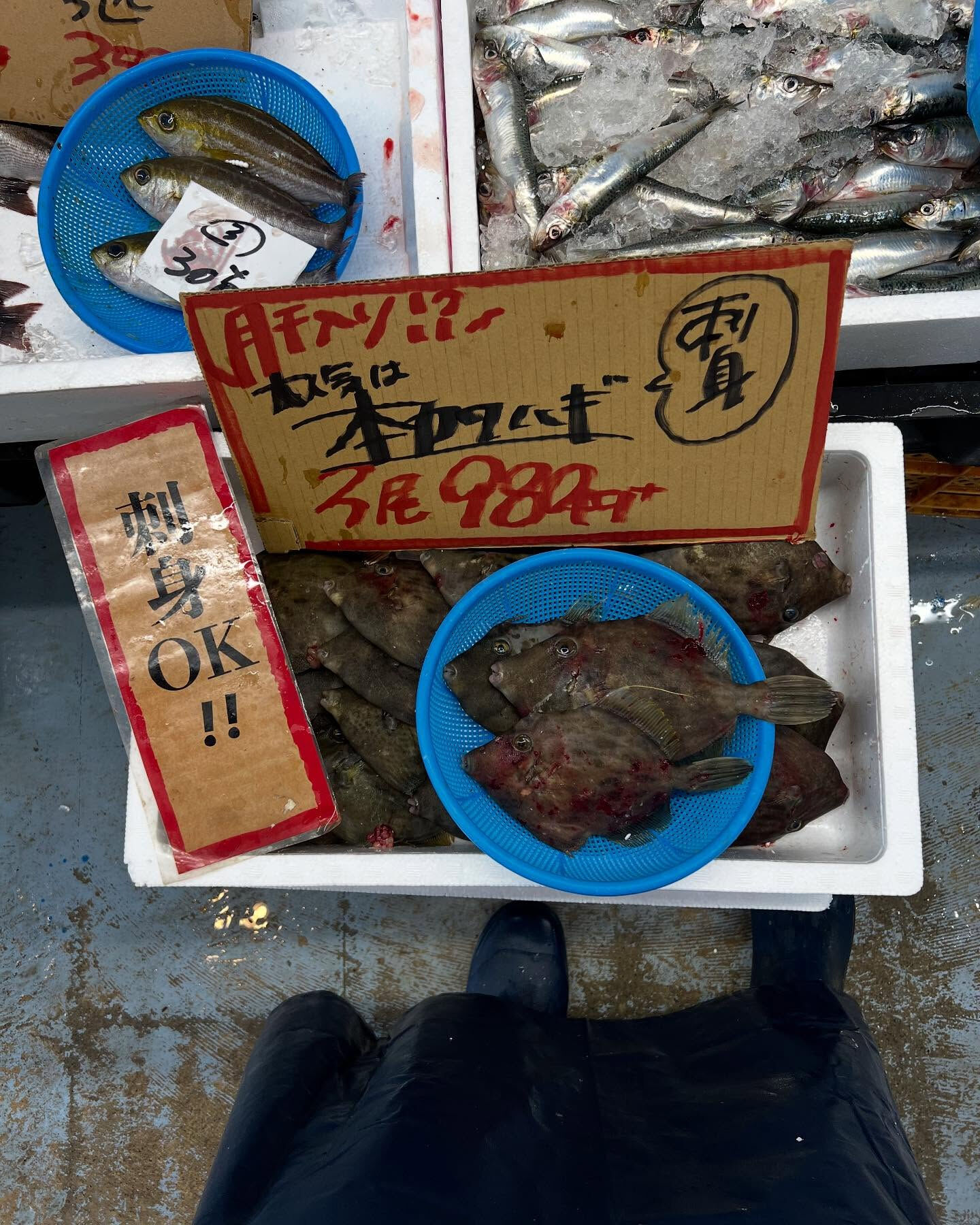 本日、月曜start🐟