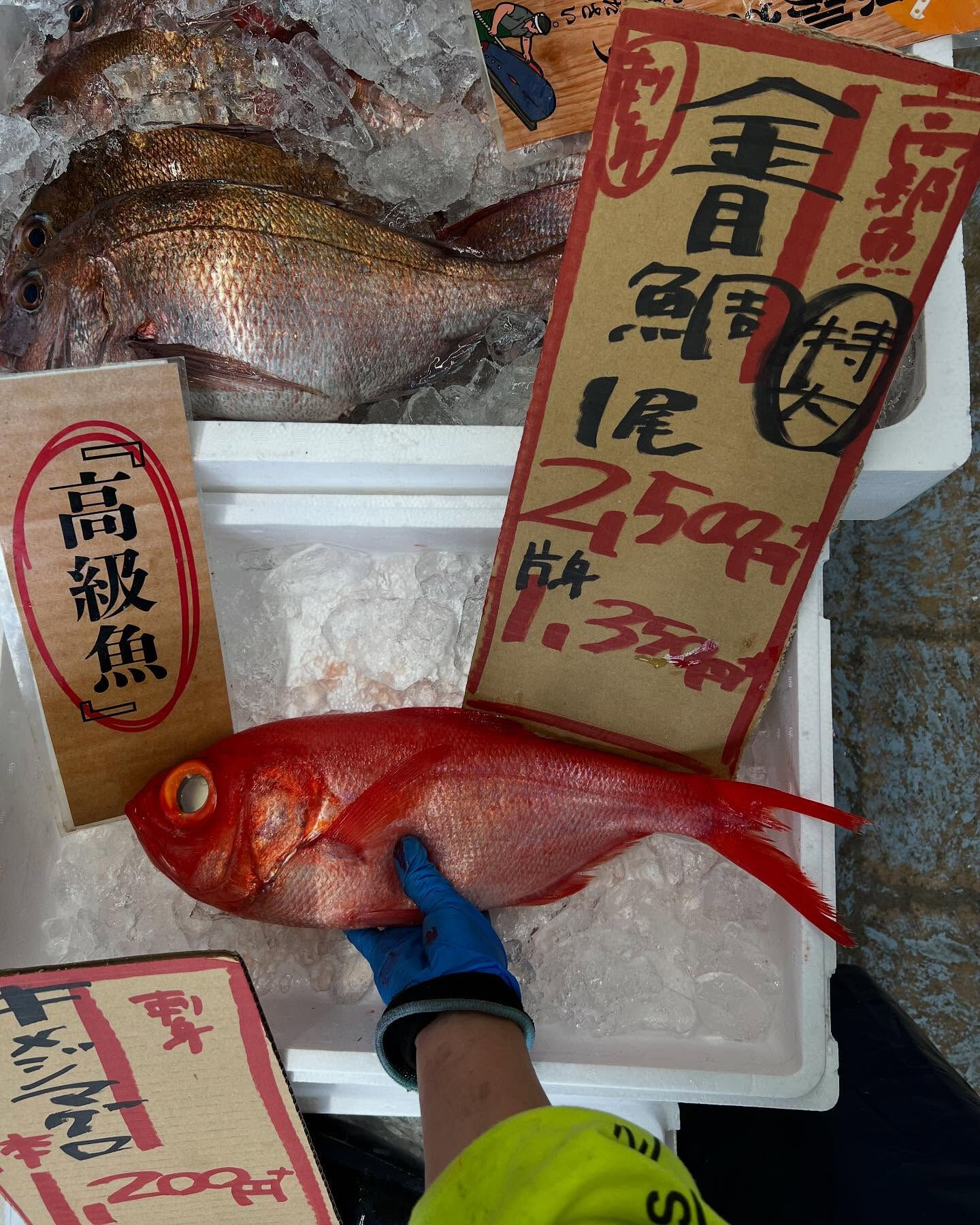 本日、月曜start🐟