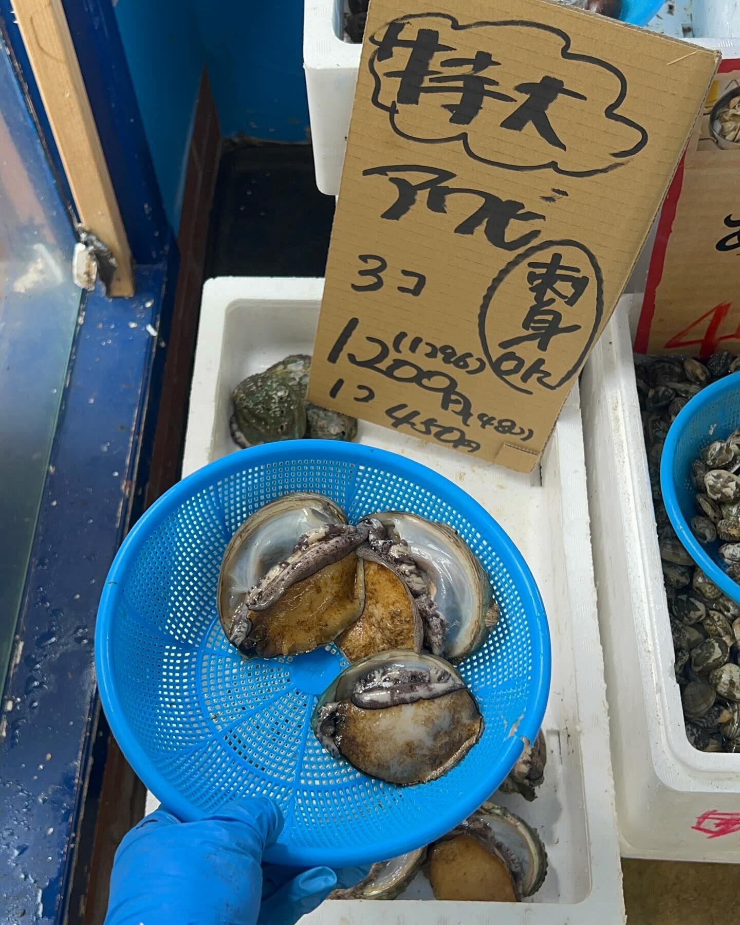 本日、月曜start🐟
