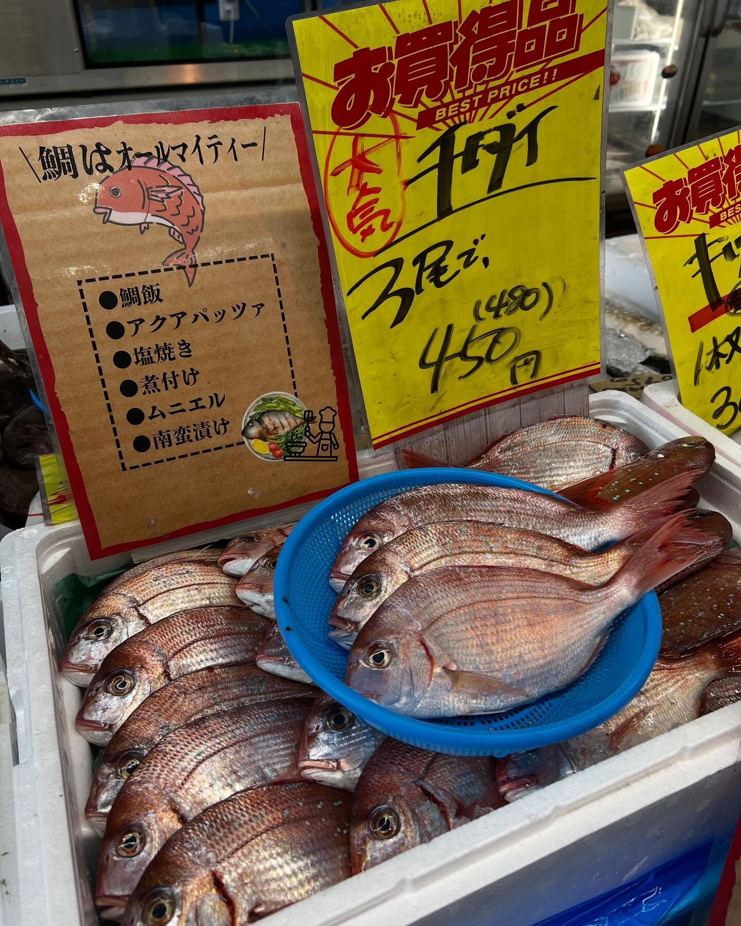 本日、月曜start🐟