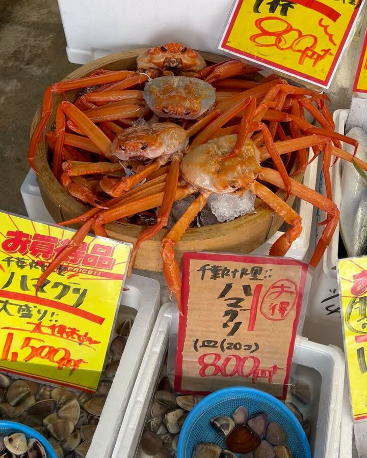 本日、月曜start🐟