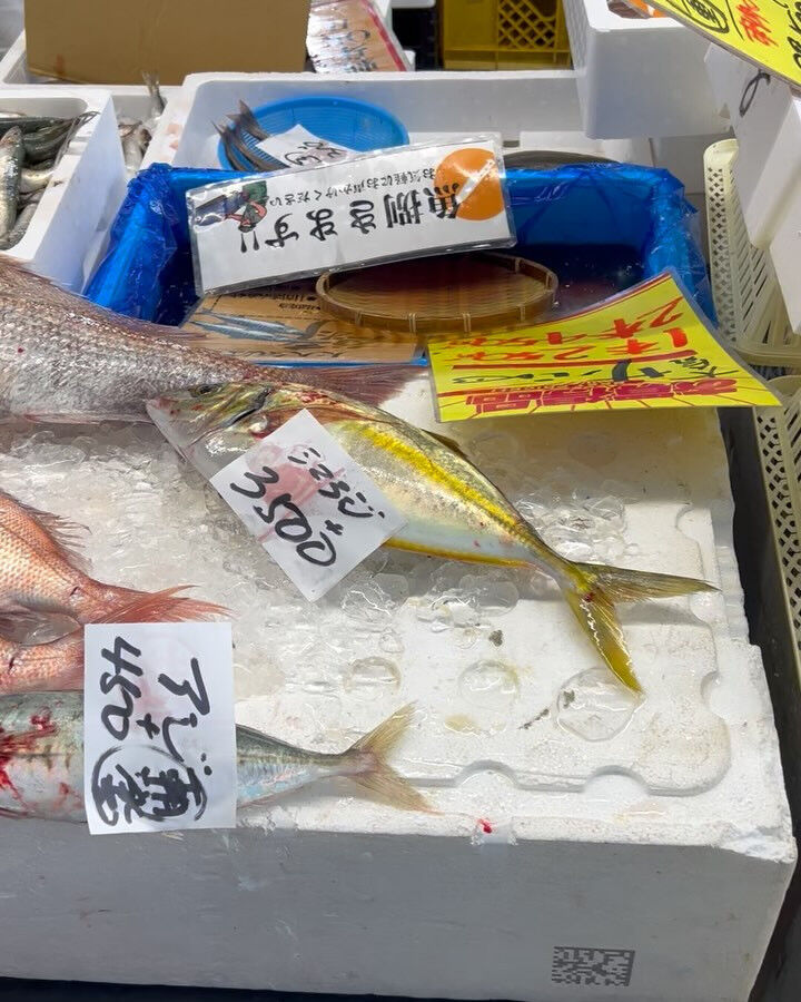 本日、月曜start🐟