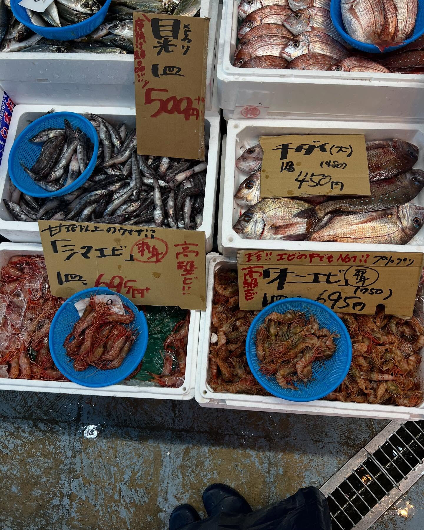 本日、火曜start🐟