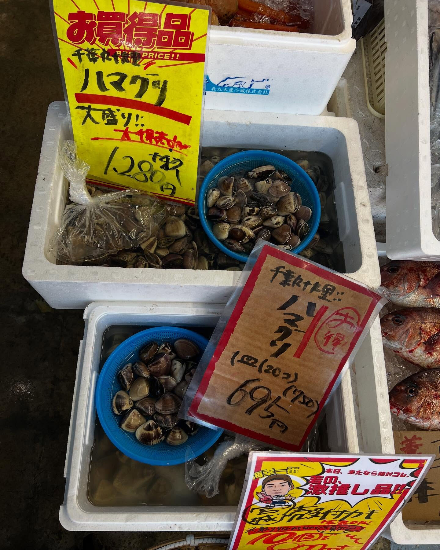 本日、火曜start🐟