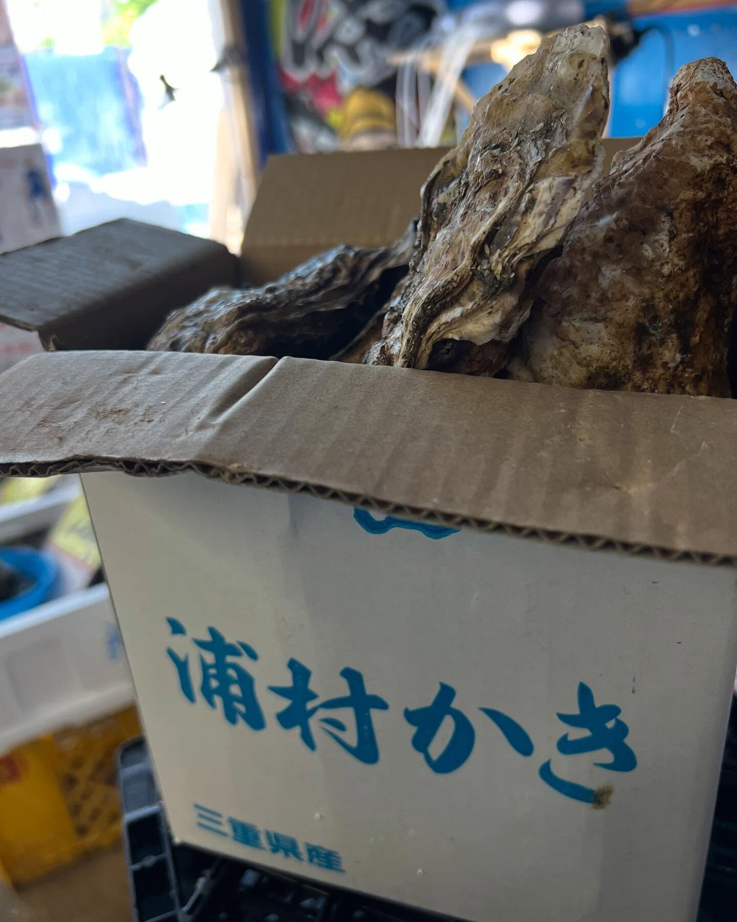 本日、火曜start🐟