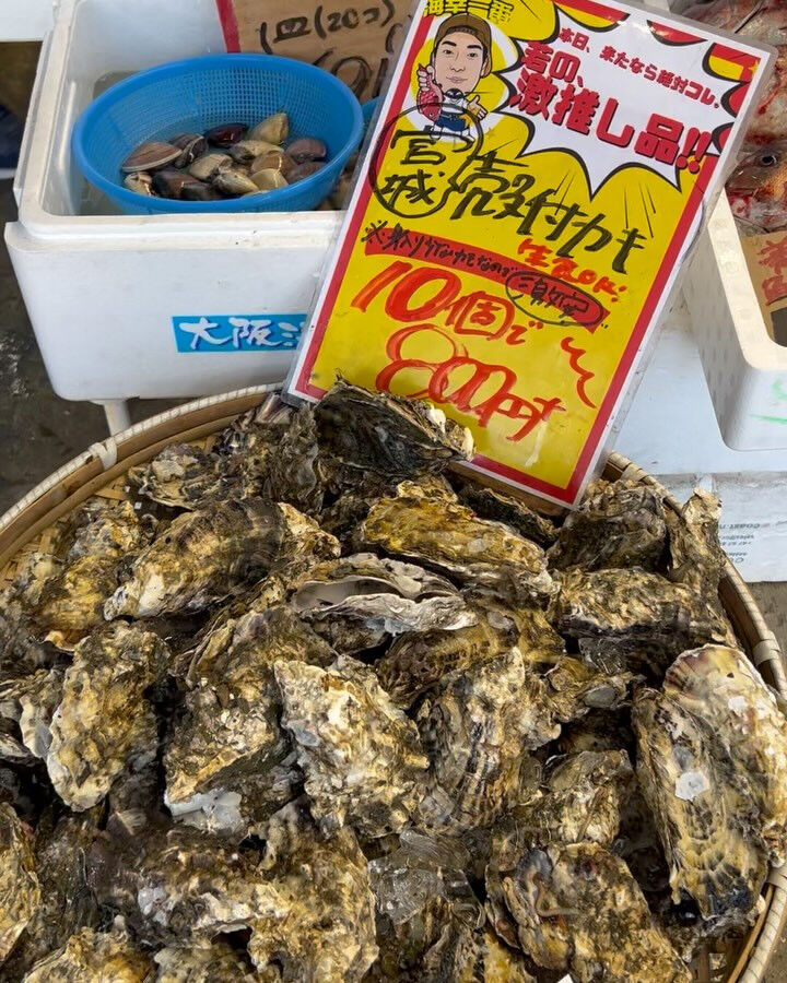 本日、火曜start🐟