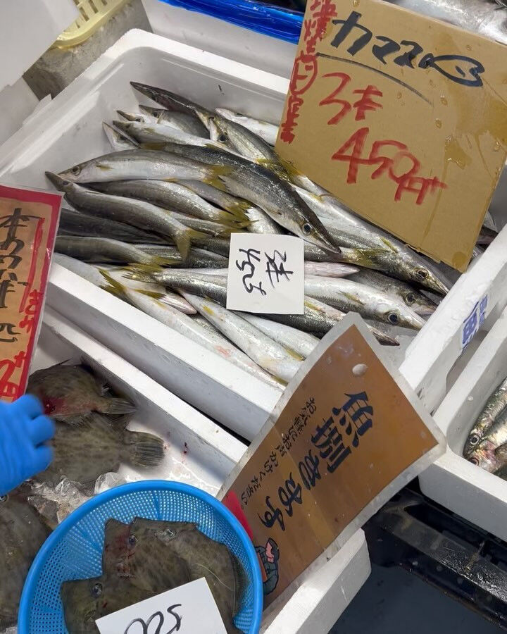 本日、火曜start🐟