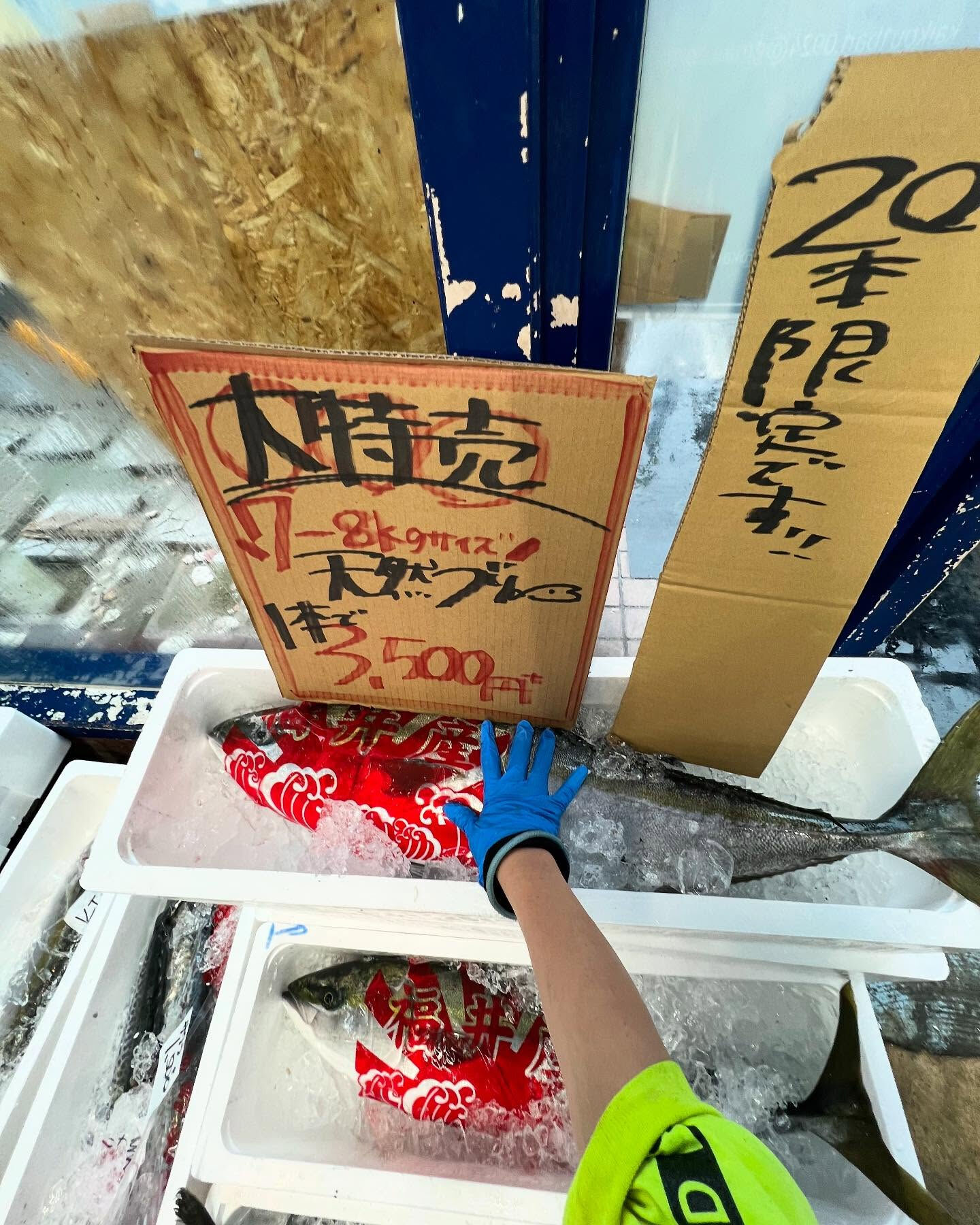 天然ブリ入荷！