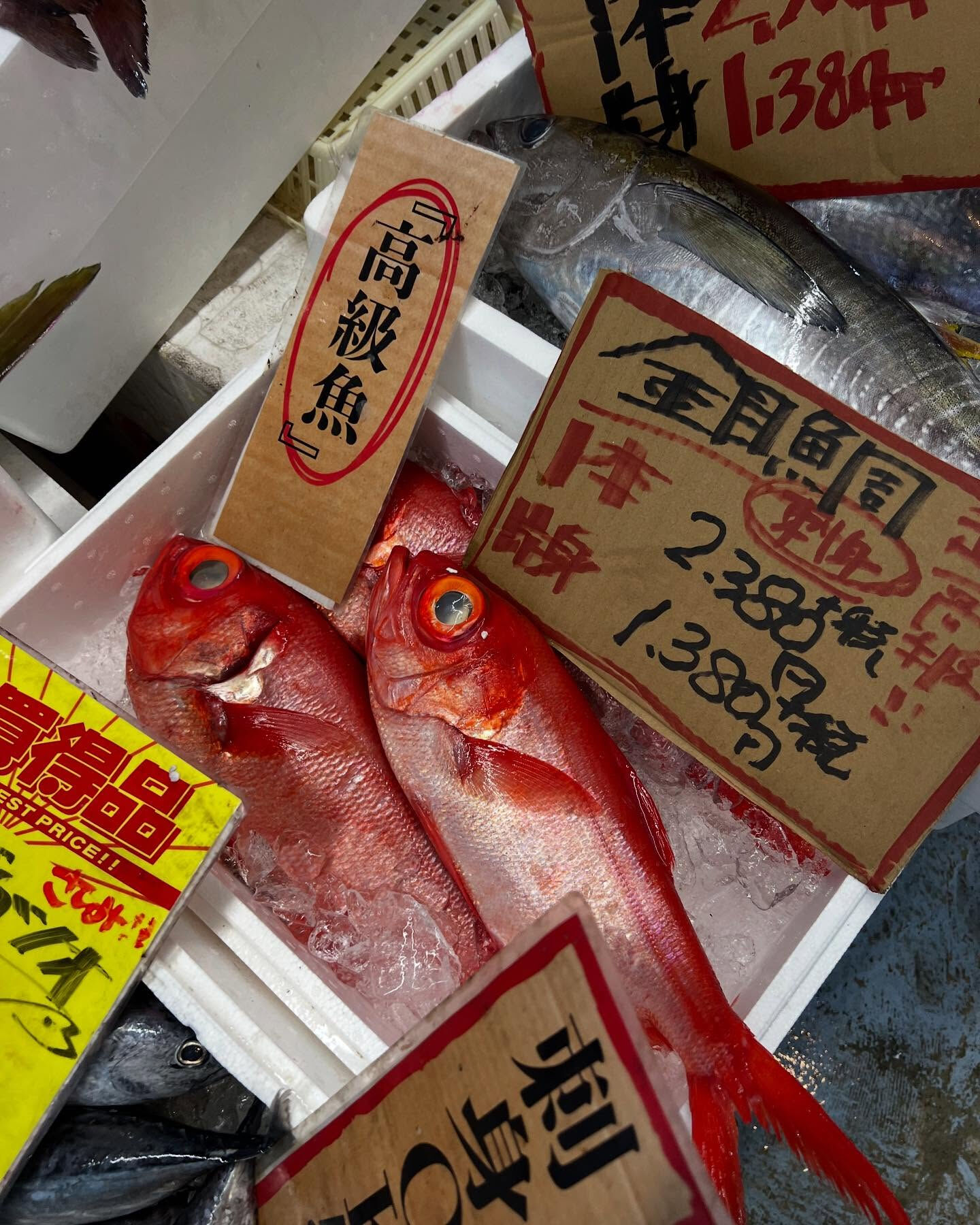 天然ブリ入荷！