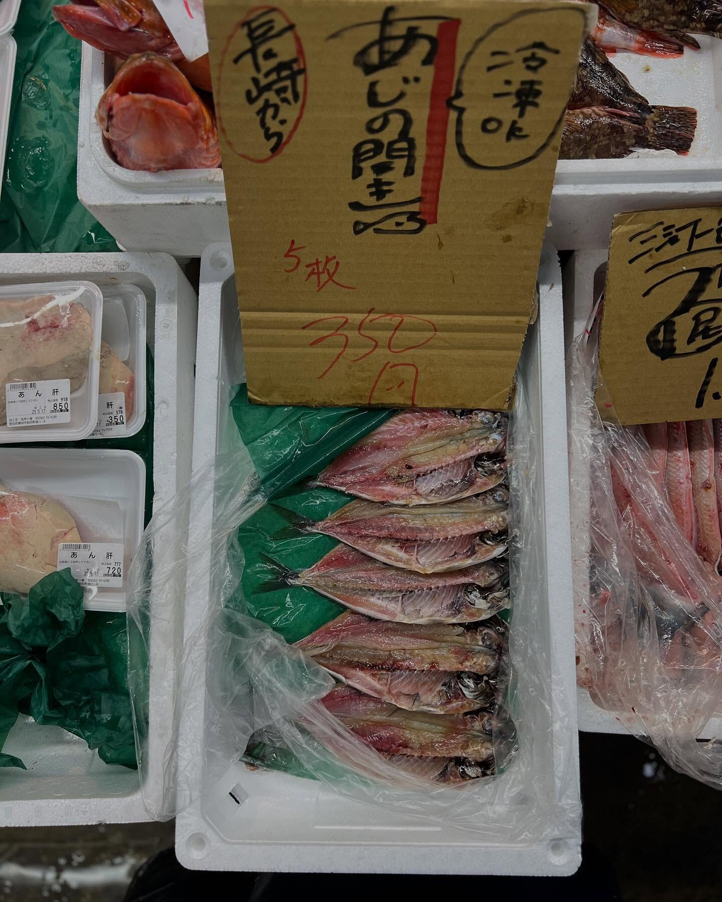 天然ブリ入荷！