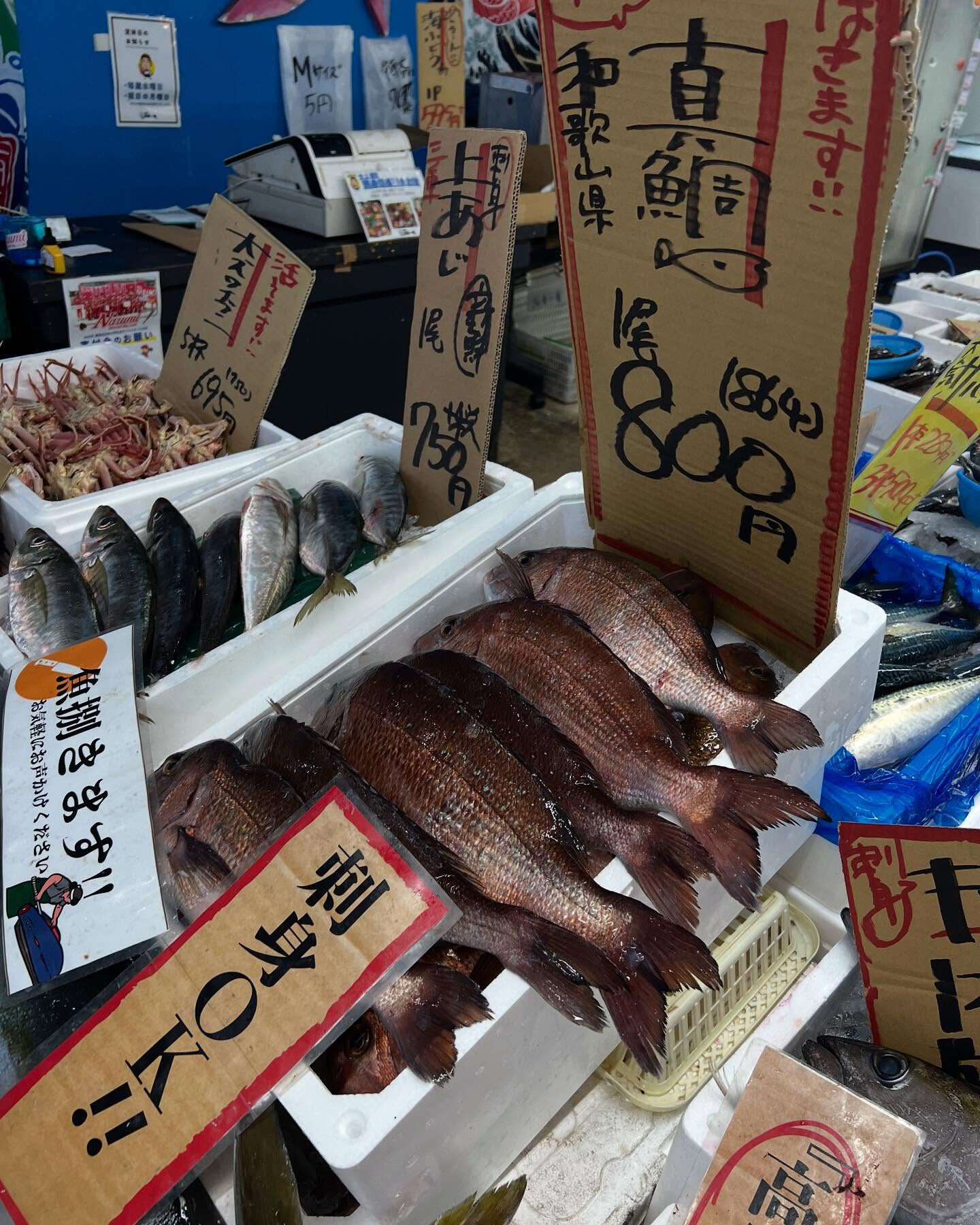 天然ブリ入荷！